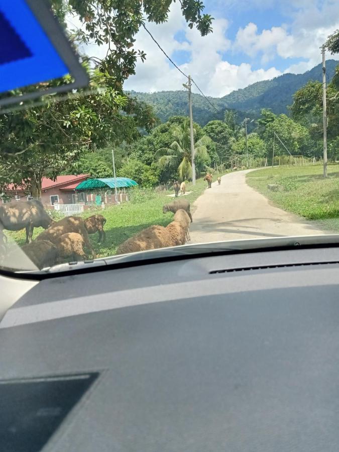 Aliza Scawa Homestay Kuala Pilah Exterior photo